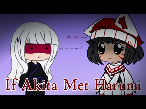 If Akita Met Harumi {Some Stupid Skit I Made Out Of Boredom} ⚠️A Little Blood Warning?⚠️