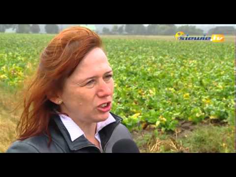 SILNI CHRZANEM - siewie.tv