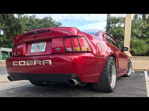Fitting 335s ON THE TERMINATOR + Wrap Progress Mustang Week 2017 Prep