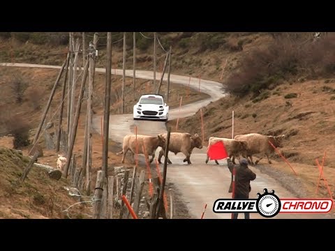 Test Rallye Monte Carlo 2019 - Suninen & Evans / Ford Fiesta WRC - RallyeChrono