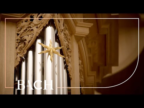 Bach - Fugue in B minor BWV 579 - Van Doeselaar | Netherlands Bach Society