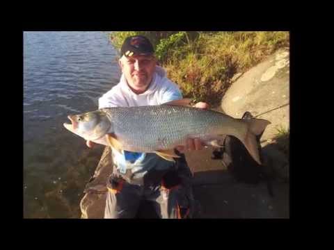 JENZI 2014 - Teamangler Bodo Fletemeier testet die JENZI Spirit