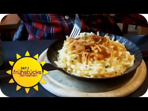 KOCH UNDERCOVER "Marientorzwinger" Nürnberg | SAT.1 Frühstücksfernsehen