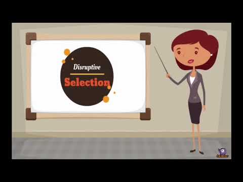 Disruptive Selection Maemoto