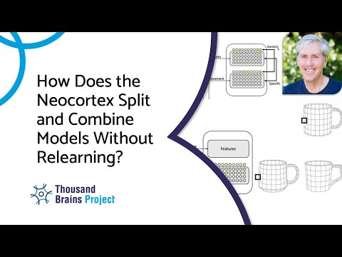 2025/09 - How Does the Neocortex Split and Combine Models Without Relearning?