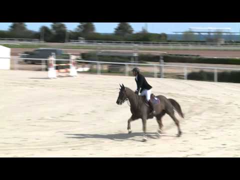 Rock Star Castellane - CSI2* GP 140 - 2ème - Cagnes-sur-mer GPA Jump Festival  2015