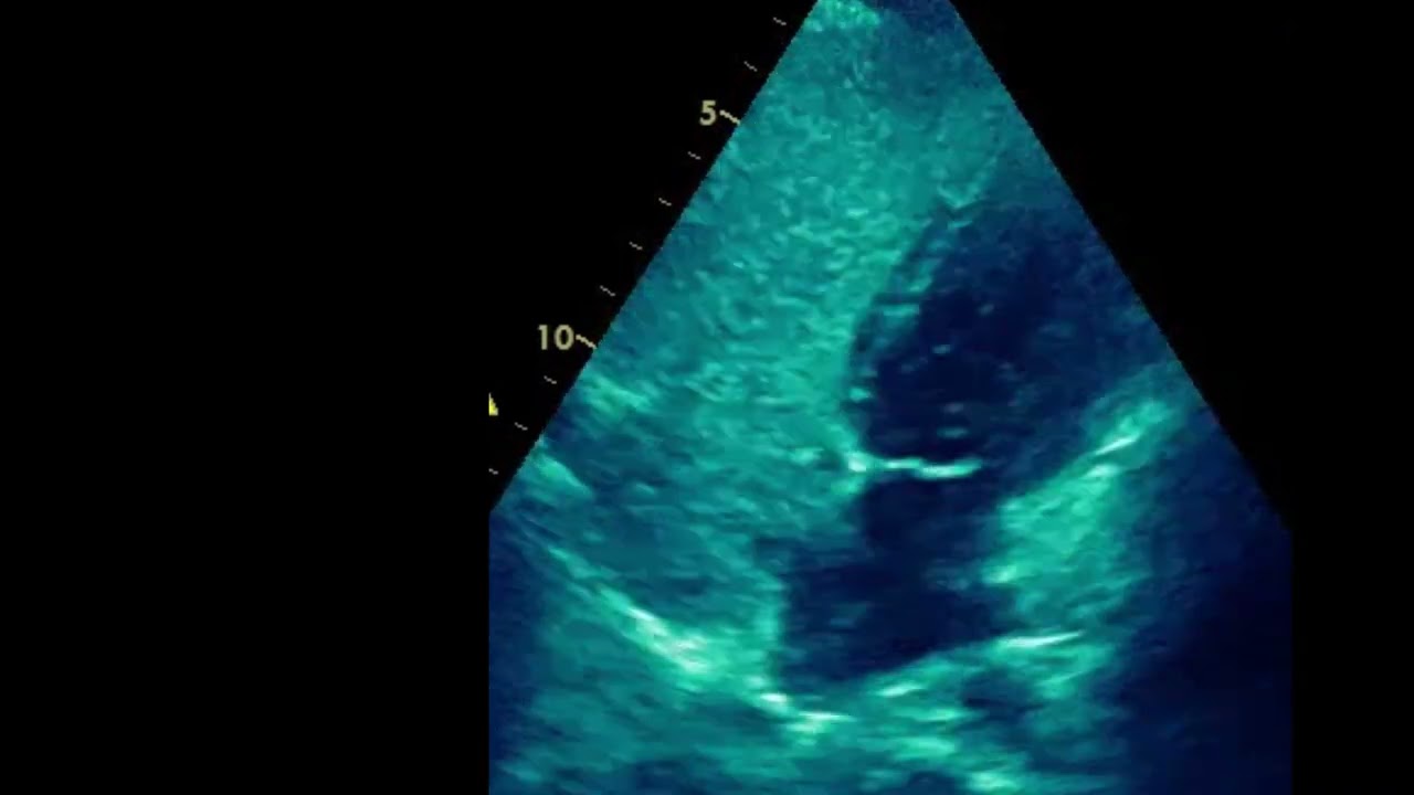 Luis  Ruvalcaba Figueroa -6