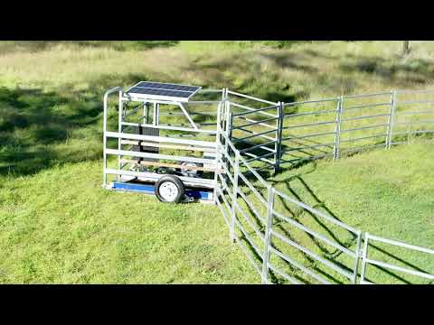 Introducing Tru-Test Autonomous Weighing