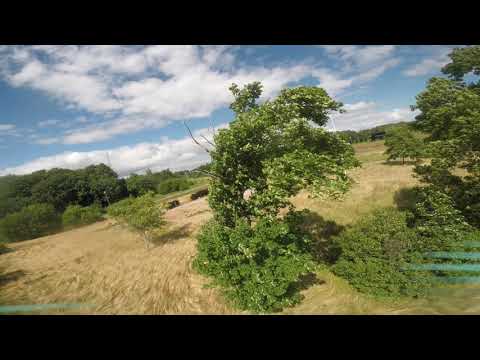 Blæsevejr og røvhuller