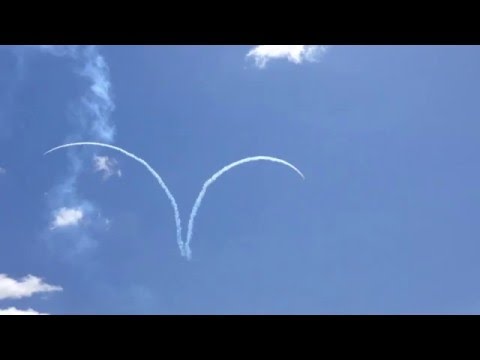 Canadian Forces  Snowbirds