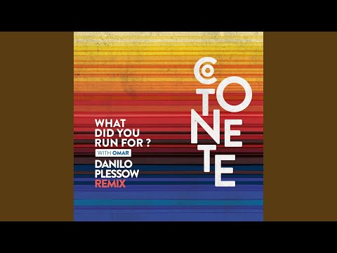 What Did You Run For? (Danilo Plessow Remix)