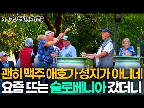 비디오 17