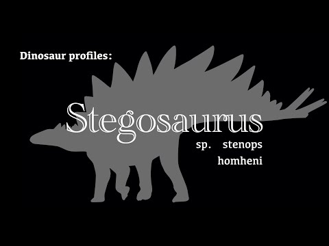 Dinosaur Profile: Stegosaurus