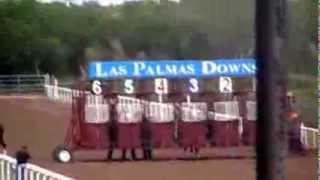 preview picture of video 'La Cartelina vs El Chaparro 250yds Las Palmas Downs 10/13/13'