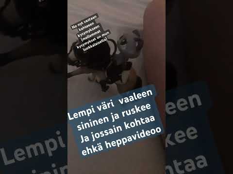 Vastaan kahteen kyssäriin😅