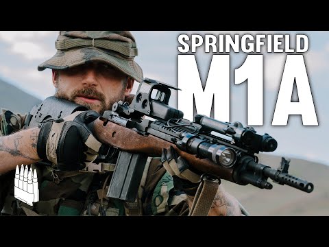 The Gun Liberals Aren’t Scared Of But They Should Be. The Springfield M1A Scout