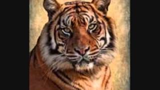 MELBA MOORE...LET'S GO BACK TO LOVIN......wmv