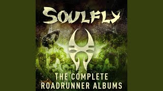 Soulfly V