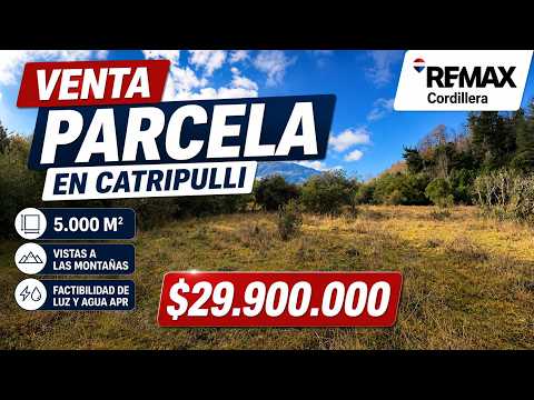 Parcela en venta en Catripulli | 5.000 m² entre Pucón y Curarrehue
