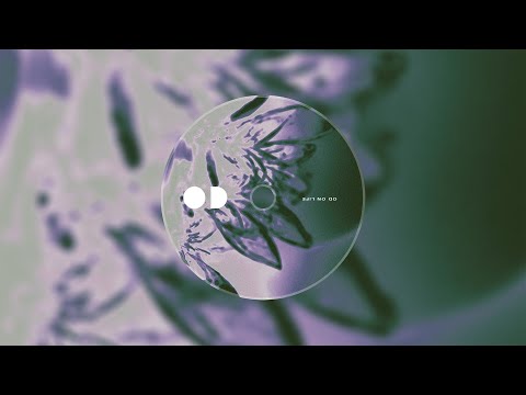 DJ FLEXIN' - $waggin'