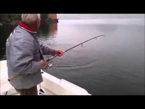 Lachsdrill in Bygstad am Hexenkessel