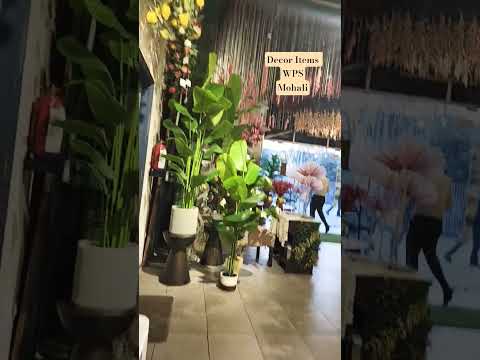WPS Mohali Decorations Item's #mohali #chandigarh #wpsmohali #Decorations #decor