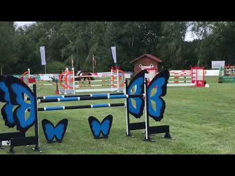 „Axor Mouche“ - Wohlde 2019