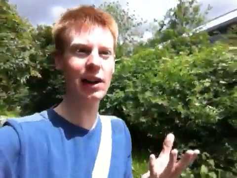 Surviving the RAPTURE with DEJA VU!