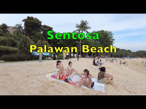 Sentosa Palawan Beach 圣淘沙巴拉湾海滩 4K UHD #sentosa #beach #walkingtour #bikini