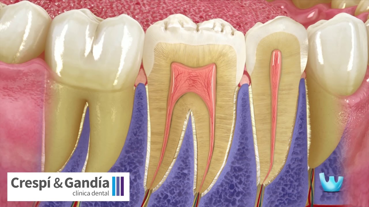 Vicente Gandía Aguiló-23