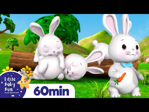 Sleeping Bunnies | LittleBabyBum - Nursery Rhymes for Babies