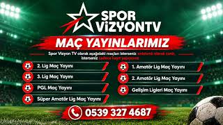 sporvizyontv