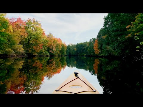 Kayaking Charles River with Beautiful New England Fall Colors, 4K UHD with Relaxing Music