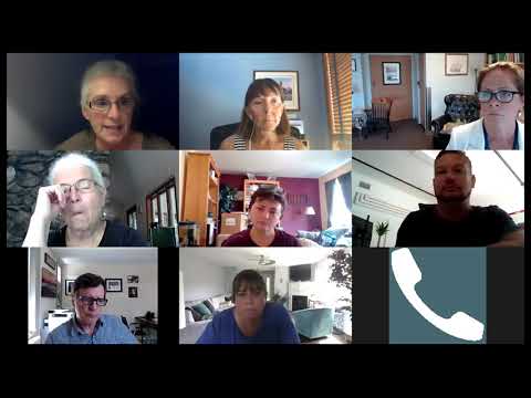 CRTF Health subcommittee August 11, 2020