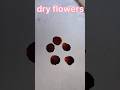 dry flowers for resin art at home #viral #shorts #shortvideo #crafterpogo