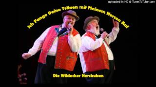 Die Wildecker Herzbuben - Ich Fange Deine Tränen mit Meinem Herzen Auf