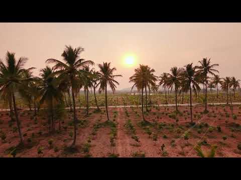 3D Tour Of Neralu Farms Korlaparthi