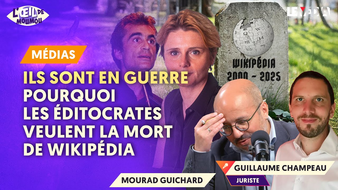 SOPHIA ARAM, ENTHOVEN, FOUREST, LE POINT : POURQUOI VEULENT-ILS TUER WIKIPÉDIA ?