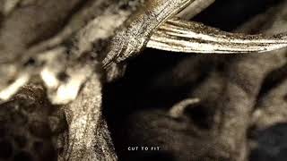 Cut to Fit Music Video