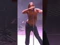 🕺 Iggy Pop — Lust For Life (live) — 2023