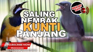 Download lagu 🔴 Kompilasi Saling Nembak Kunti ❗️Cucak Cungkok Vs Srigunting Abu Abu Full Isian Kunti mp3