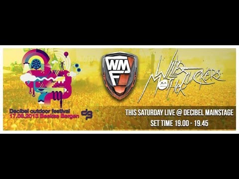 Wild Motherfuckers @ Decibel 2013 (Official Live Act)