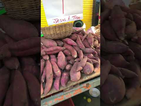 Vitória de Santo Antão PE