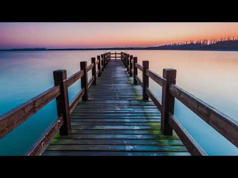 Wildflowers - I Get a Little Starstruck (ft. Sarah Pumphrey) (STEMS MELODY)