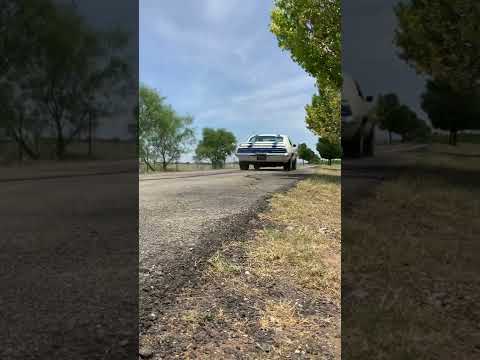 1969 Pontiac Firebird (CC-1601789) for sale in Fredericksburg, Texas