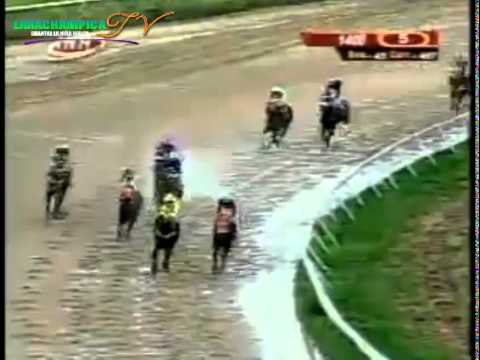 VALENCIA 5 CARRERA VIERNES 05 DE SEPTIEMBRE DEL 2014