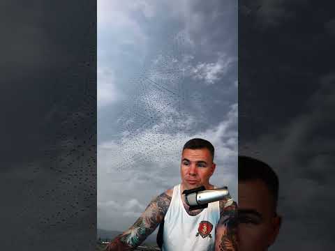 Drone Swarms will always be a terrifying thought. #military #army #marine #navy #drone #soldier