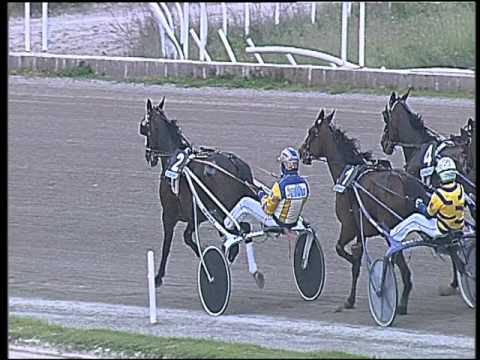 Trotto 28/03/2016 -  4° Corsa