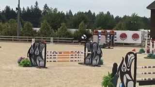 Video koně Comanche 23