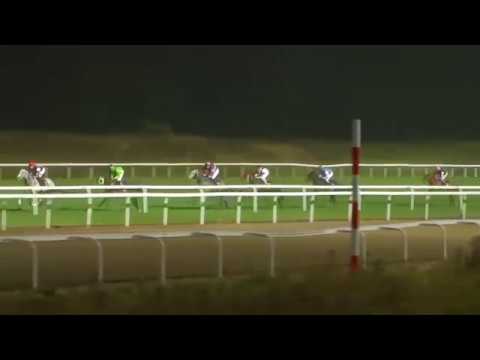 2017.09.22 Breeders' Trophy Stayer (SWE) - Efesos